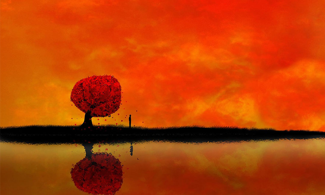 丹东笙影微信朋友圈转发案例